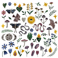 Obraz premium Watercolor magic forest set. Mushrooms, flowers, hearts, birds, moths, sun, moon, crystals, berries on white.