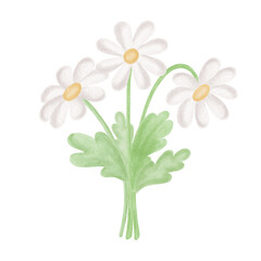 Chamomiles white bouquet with leaves watercolor painting in kids style. Daisy flowers illustration for Easter greeting card Hand-drawn isolated flowering plant. Floral clip art for baby shower desing
