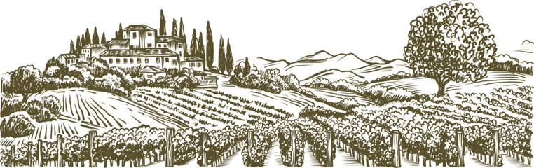 PVintage Illustration of a Countryside Landscape with Vineyard Fieldsrint