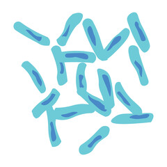 Lactobaciluus Plantarum