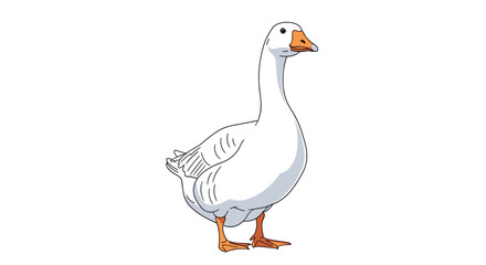 Obraz premium A simple cartoon illustration of a white goose standing on white background.