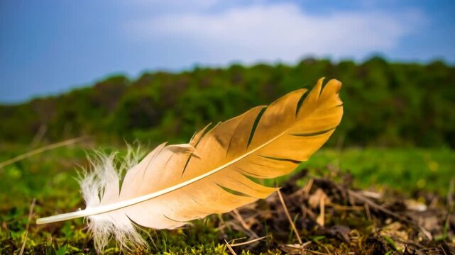 A detailed image of a feather lies on the ground against a backdrop of lush greenery