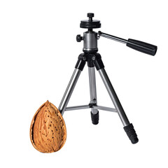 A miniature tripod next to a large walnut, both against a black backdrop