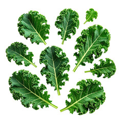 Isolated dark leafy greens with textured edges, arranged on a black background