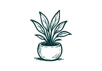 Potted Plant hand drawn simple sketch vector illustration