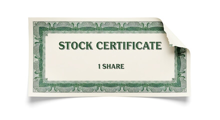 Stock Certificate with Decorative Border Representing Financial Investment and Ownership