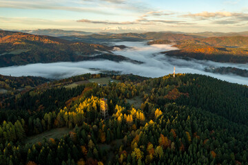 Wieża Malnik, Muszyna, Małopolska, EU, Poland  © Maciej G. Szling
