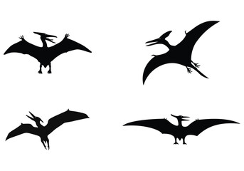 Naklejka premium Pterodactyl Dinosaur Silhouette set