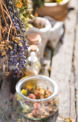 Dried medicinal herbs on the table. Selective focus.