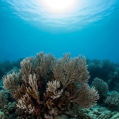 Obraz premium Vibrant Coral Reef Ecosystem Underwater Sunlight Rays.