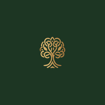 Elegant gold tree of life logo on a dark green background