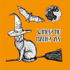 Halloween card design with a cat in a magic hat sitting on the flying broom. Sketch outline illustrations for card, poster, sticker design. Hand-drawn vector line art
