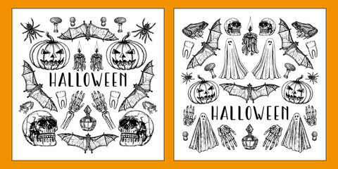 Halloween card and poster designs with skull, pumpkin, bat, candle, spider, ghost illustrations. Sketch outline drawings in engraving style. Hand-drawn vector line art