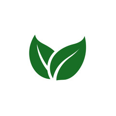 Green leaf icon design on white background for sustainable concept