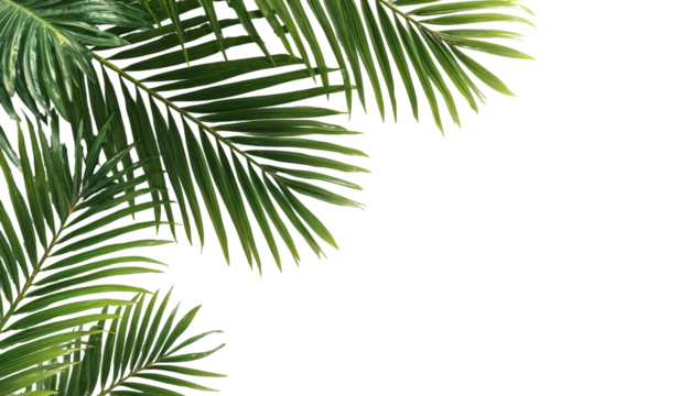 Vibrant palm fronds, lush green leaves, tropical border