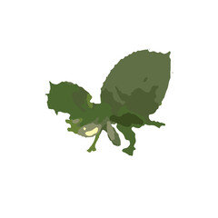 Watercolor rose leaf transparence background