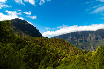Green forest volcanic mountains landscape view