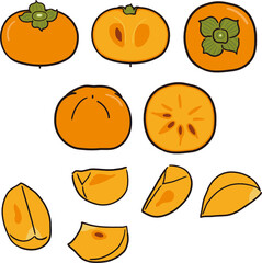 手描き風　柿の実、断面、カット