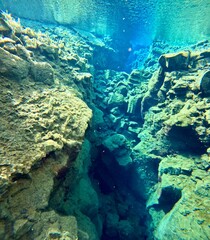 Underwater View of Silfra Fissure, Thingvellir National Park, Iceland