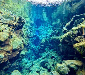 Underwater View of Silfra Fissure, Thingvellir National Park, Iceland