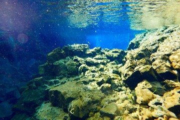 Underwater View of Silfra Fissure, Thingvellir National Park, Iceland