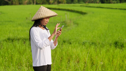 young woman rice farmer with smartphone device in Indonesia on farm, paddy field in background, asian conical hat, technology in agriculture, southeast asia © Spice Footage