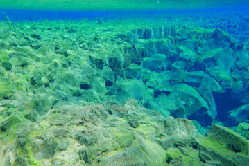 Underwater View of Silfra Fissure, Thingvellir National Park, Iceland
