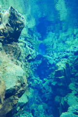 Underwater View of Silfra Fissure, Thingvellir National Park, Iceland