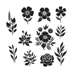 Black Silhouette Floral Elements and Botanical Sprigs flower plant