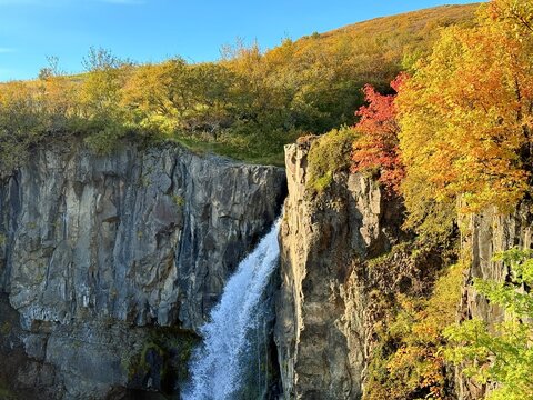 Basalt Columns and Waterfall at Svartifoss, Vatnajokull National Park, Iceland