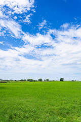 沖縄-【黒島－黒島の風景】