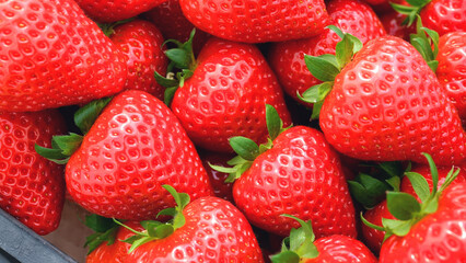 Macro view of fresh ripe strawberries with green leaves. Organic fruit harvest and healthy food concept for agriculture and food industry.