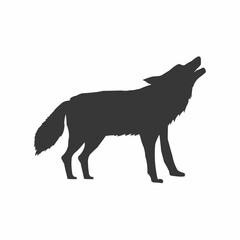 wolf vector illustration