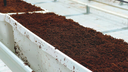 Close-up of fresh planting substrate in a white hydroponic container. Prepared soil medium ready for planting in a clean, controlled greenhouse environment.