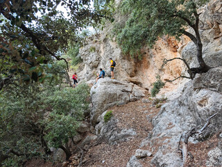 ascending Puig del Teix, Xaragall den Boqueta pass, Deia, Natural area of the Serra de Tramuntana., Majorca, Balearic Islands, Spain