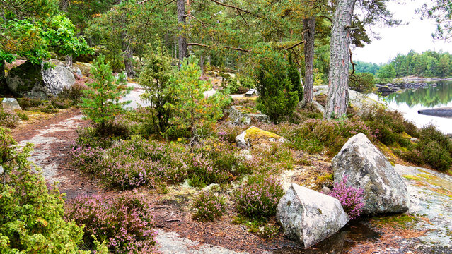 Am Toftasj&ouml;n See bei V&auml;xj&ouml;
