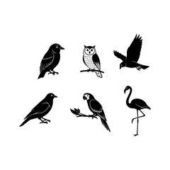 Set of different bird silhouettes including owl crow and flamingo vector illustration.