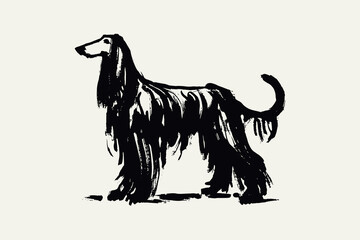 Afghan hound standing bold black ink dog illustration vector