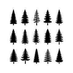 Obraz premium Silhouette of pine trees forest pattern for nature and outdoor design.