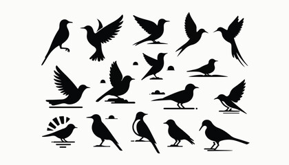 vector bird silhouette