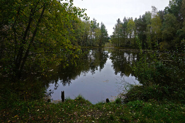 Obraz premium Naturschutzgebiet Schwenninger Moos; Hochmoor und Neckarursprung; Baden Württemberg; Deutschland