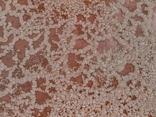 Geometric aerial view of traditional salt pans at Salinas de Janubio in Lanzarote, Canary Islands
