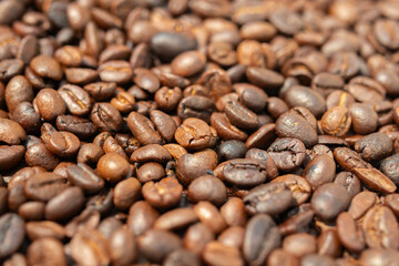 Fresh premium roasted brown Arabica coffee beans background