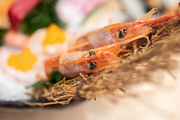 Fresh sashimi set serve on ice with wasabi Japanese style