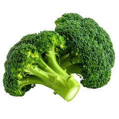 Two fresh, vibrant green broccoli florets, one upright and the other resting, on a black background
