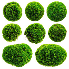 Nine isolated spheres of lush, green moss against a stark black background, close-up