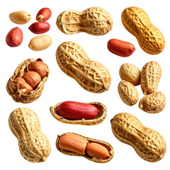 Close-up of several peanuts, in their shells and shelled, showcasing various textures