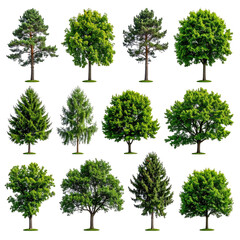 An array of isolated, diverse, green trees against a black background
