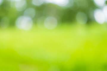 Fototapeta premium Blur nature bokeh green park by beach and tropical coconut trees,Blur nature bokeh green park by beach and tropical coconut trees in sunset time.