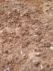 Soil